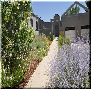 Long Walk Garden